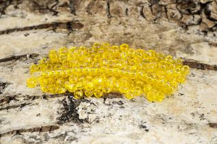 Seed Beads transparent rainbow 2,6 mm, Gul (20g)