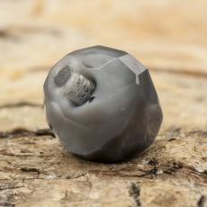Glaspärla facetterad kula 10 mm, Grå (10st)