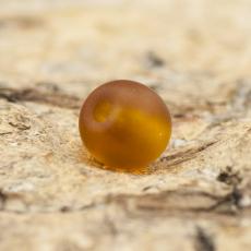 Frostad glaspärla 4 mm, Brun (60st)