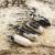Hänge Bullet zebra jaspis 37-40x12 mm, Svart/Vit (st)