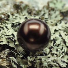 Vaxad glaspärla 10 mm, Mörkbrun (10st)