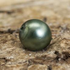 Vaxad glaspärla matt 6 mm, Gröngrå (40st)