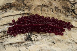 Seed Beads transparent 2,6 mm, Röd (20g)