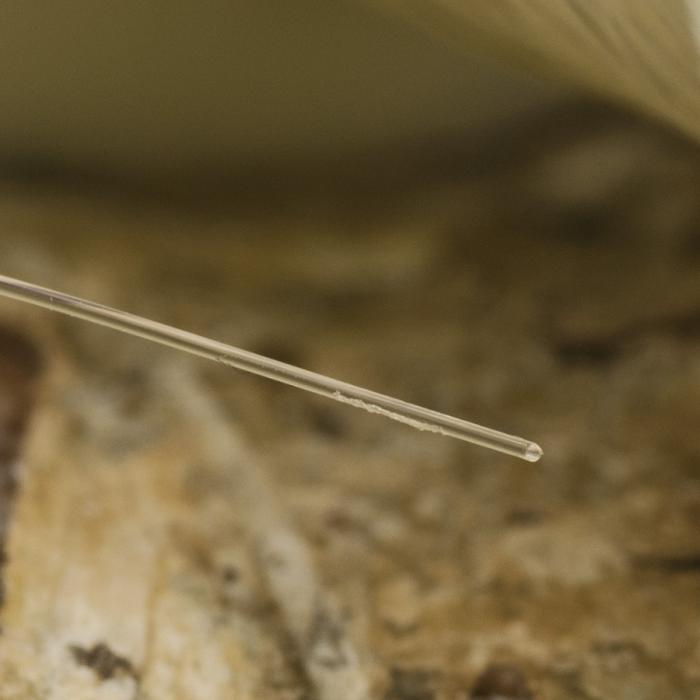 Nylontrd 0,3 mm, Genomskinlig (100 m)