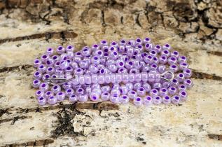 Seed Beads opak lustered 2,6 mm, Lila (20g)