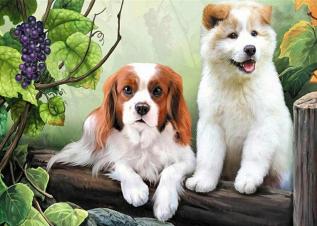 Diamond Painting Canvas 40 x 30 cm, Valpar