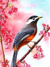 Diamond Painting Canvas 30 x 40 cm, Liten f&aring;gel