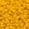 Opaque Sunshine