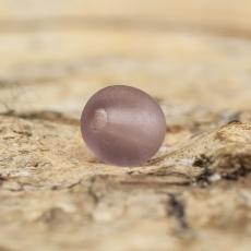 Frostad glaspärla 4 mm, Syrénlila (60st)