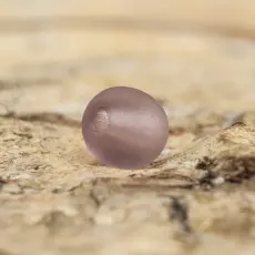 Frostad glaspärla 4 mm, Syrénlila (60st)