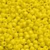 Opaque Dandelion