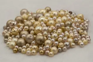 Vaxad glasp&auml;rla 4-12 mm, Champagnemix (50g)