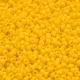 Opaque Sunshine