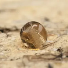 Glaspärla rund 4 mm, Mörkbrun (60st)