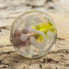 Glaspärla Puck 16x6 mm, Lila/Gröngul (st)
