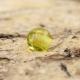 Olivgrön