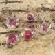 Klar/Cerise