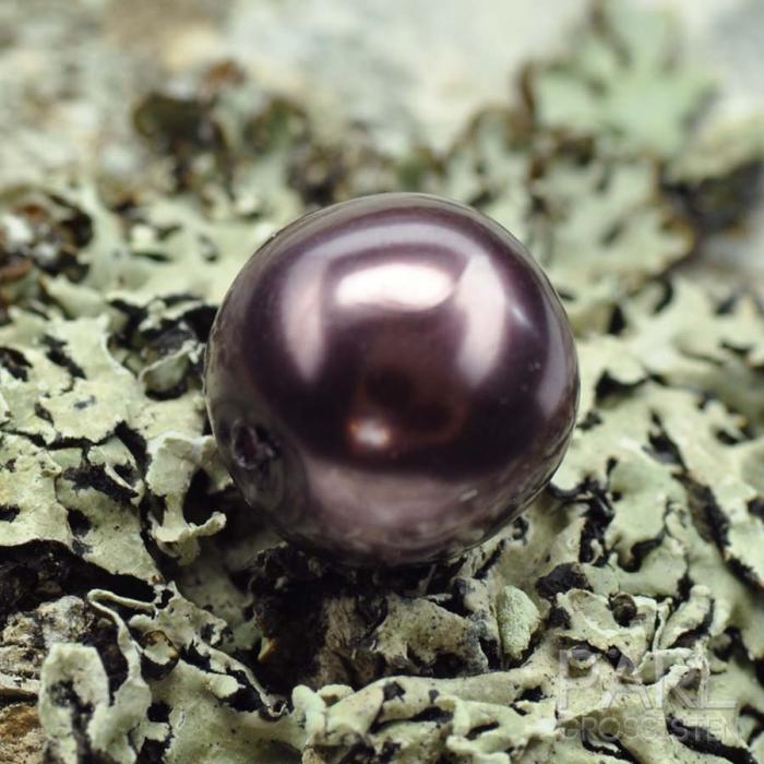 Vaxad glaspärla 10 mm, Lilagrå (10st)