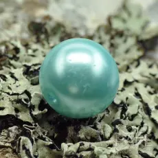 Vaxad glaspärla 10 mm, Turkos (10st)