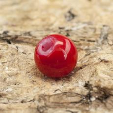 Lackad glaspärla 4 mm, Röd (60st)