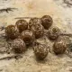 Chokladbrun
