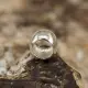 Silverfärg