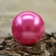 Cerise