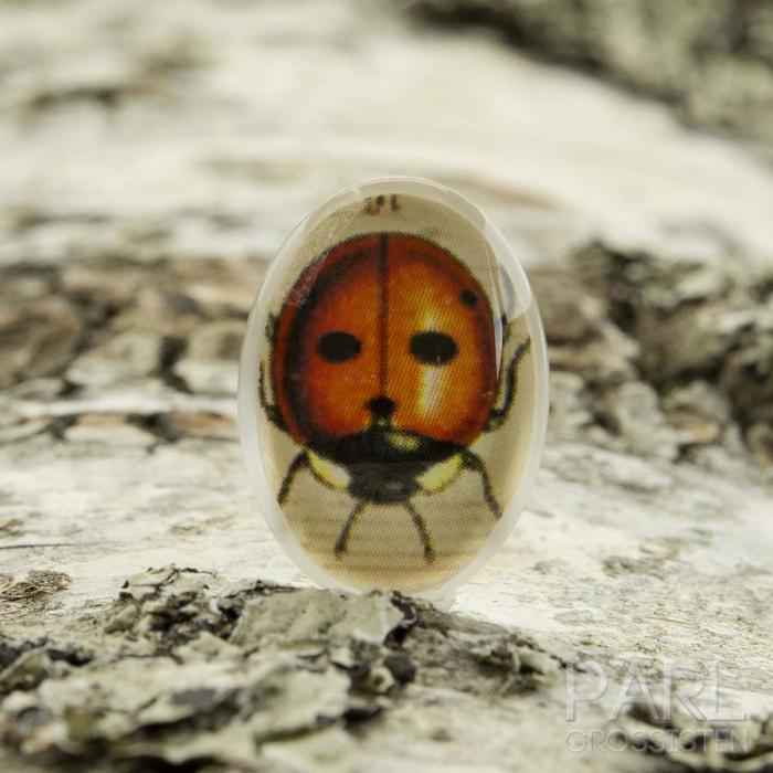 Cabochon Nyckelpiga glas 13x18 mm, Klar/Röd (st)
