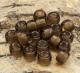 Choklad