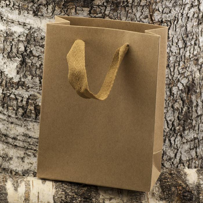 Presentpåse med bandhandtag 12x16x6 cm, Natur (st)