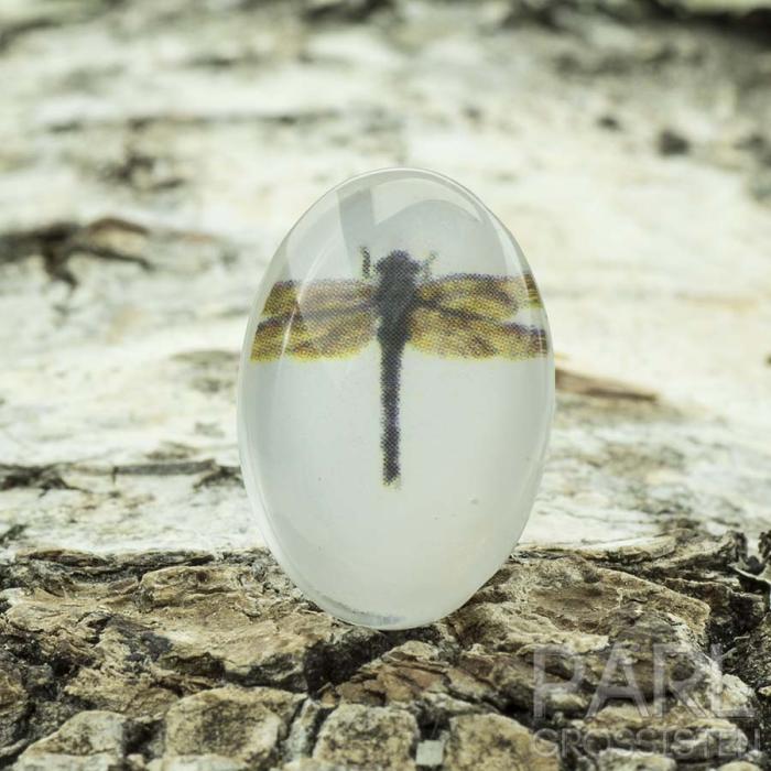 Cabochon Trollslända glas 13x18 mm, Brun/Vit (st)