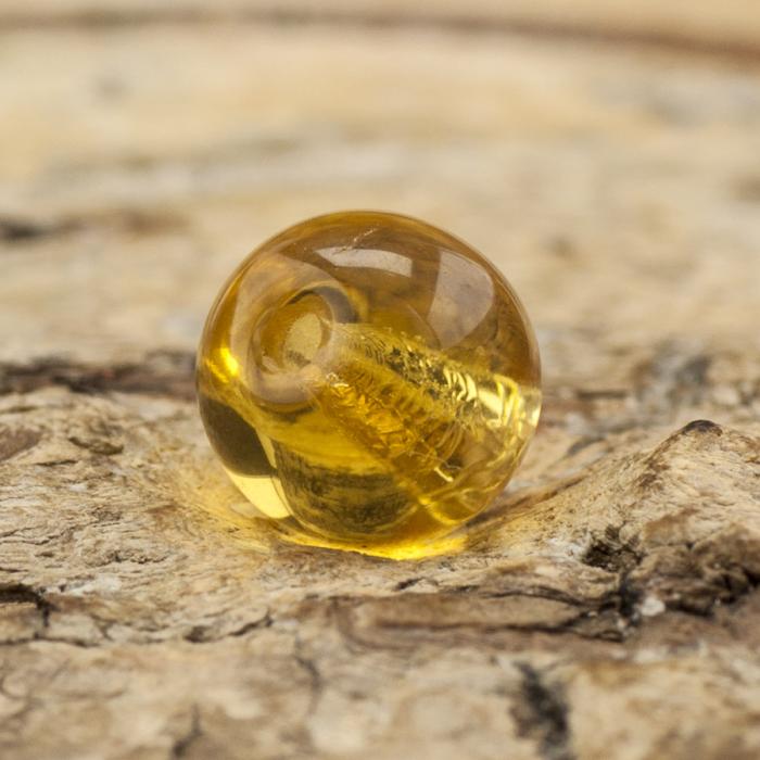 Glaspärla rund 6 mm, Bärnsten (40st)
