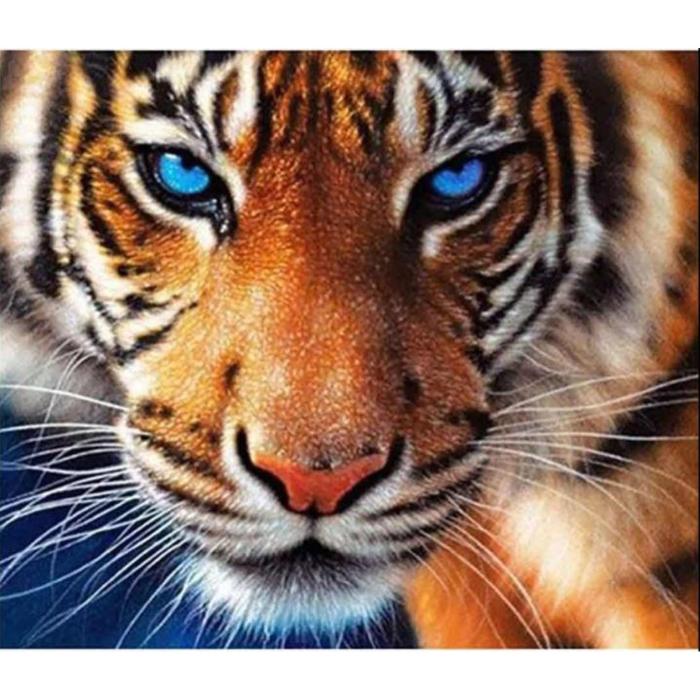 Diamond Painting Canvas 50 x 40 cm, Tiger