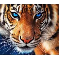 Diamond Painting Canvas 50 x 40 cm, Tiger