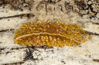 Seed Beads transparent rainbow 2,6 mm, Bärnsten (20g)