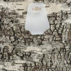 Displaykort för hals- och armband, Frostad vit (20st)