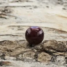 Lackad glaspärla 6 mm, Mörkröd (40st)