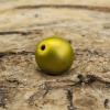 Guldlime