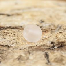 Frostad glaspärla 4 mm, Ljusrosa (60st)
