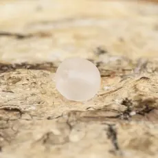 Frostad glaspärla 4 mm, Ljusrosa (60st)