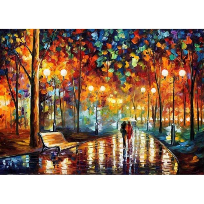 Diamond Painting Canvas 50 x 40 cm, Nattgata