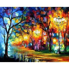 Diamond Painting Canvas 50 x 40 cm, Nattgata