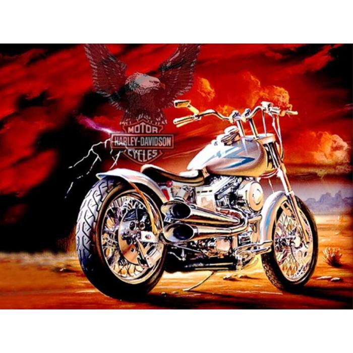 Diamond Painting Canvas 50 x 40 cm, Hog