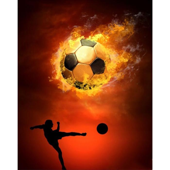 Diamond Painting Canvas 40 x 50 cm, Campione