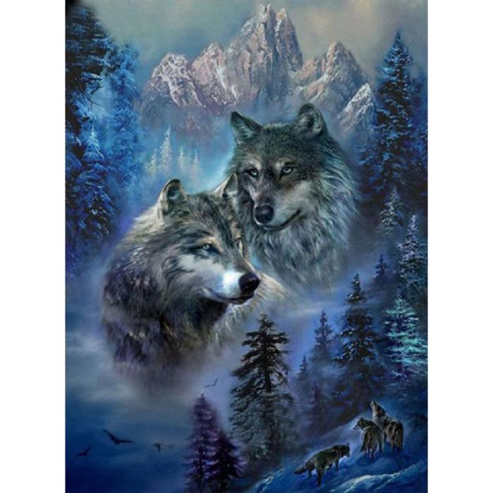 Diamond Painting Canvas 30 x 40 cm, Vargar