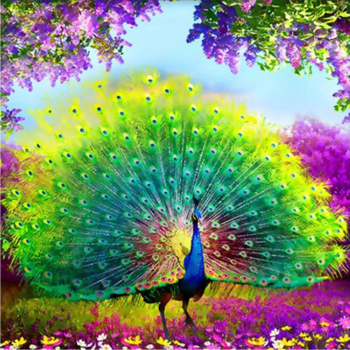 Diamond Painting Canvas 40 x 50 cm, Påfågel