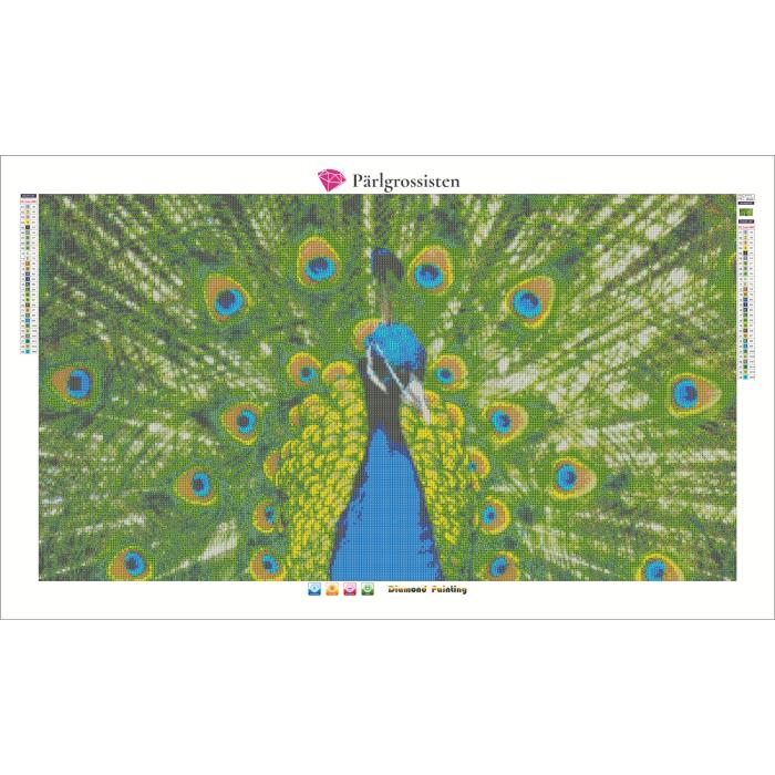 Diamond Painting Canvas 90 x 50 cm, Påfågel