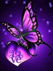 Diamond Painting Canvas 30 x 40 cm, Butterfly Love