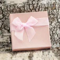 Presentask Armband 9x9 cm, Rosa (st)