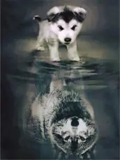 Diamond Painting Canvas 30 x 40 cm, Valp & varg